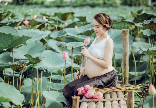 Thời gian gần đây, những bà mẹ trẻ đi chụp ảnh khoảnh khắc mang bầu ngày một nhiều. Trong khi phần đông các chị em mang thai chọn chụp ảnh trong studio để đỡ phải đi lại mệt mỏi hoặc có chăng cũng chỉ là chụp ngoại cảnh ở những địa điểm gần thì cô giáo trẻ tên Hải Yến lại có ý tưởng độc đáo khi chọn chụp ảnh với hoa sen.
