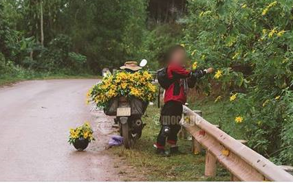 Trước đó, không ít lần các dân mạng đã chụp lại những bức ảnh các nhóm bạn trẻ đi phượt đã hái hoa ở những địa điểm họ đặt chân tới. Thậm chí sau khi chụp ảnh sống ảo, họ sẵn sàng để lại những đóa hoa tàn ngay vệ đường.