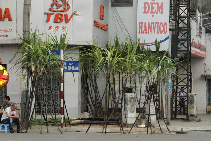 Tục đặt hai cây mía lộc lên bàn thờ tổ tiên vào dịp Tết là phong tục truyền thống lâu đời của người Việt. Nhiều gia đình ngày nay vẫn giữ nguyên nét đẹp truyền thống này.