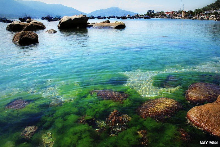 Ngoài Nha Trang, đảo Tam Bình (Bình Ba, Bình Lập, Bình Hưng) là địa điểm du lịch tại Khánh Hòa được giới trẻ Việt vô cùng chú ý.