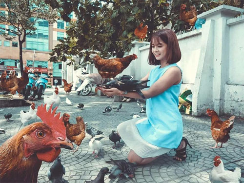 Việc không sử dụng thành thạo các công cụ cắt sửa ảnh nên các các bạn gái thường đi nhờ sửa ảnh và lên mạng là cách nhanh nhất.