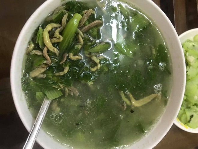 Chia sẻ trên trang cá nhân của mình, T.T cho ra mắt bát canh rươi mà ai nhìn thấy cũng phải "lắc đầu". Thậm chí, nhiều người còn phải tắt ngay đi mà không dám nhìn.