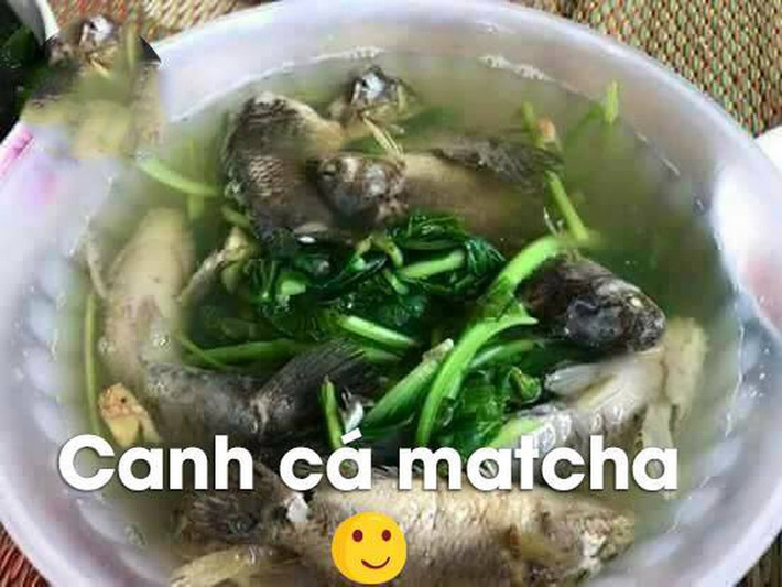 Cho dù Thu T. có kể lể rằng món canh rươi do chính tay cô nấu có mùi vị quyến rũ ra sao, thì trông thấy tận mắt đám rươi nổi lềnh bềnh như sâu giữa bát rau lõng bõng nước nhiều người phải chán nản.