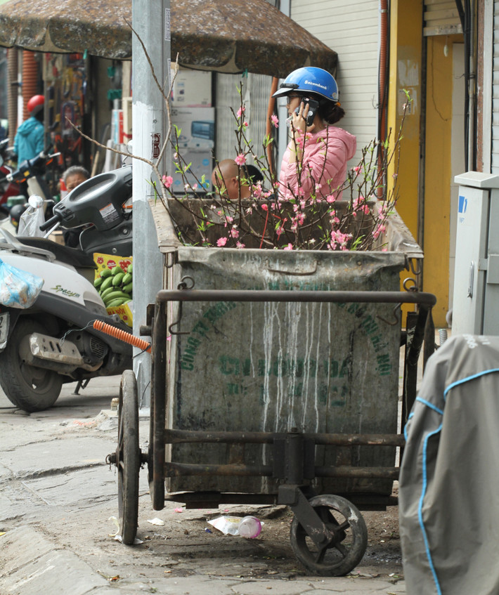 Chiều 29 Tết Nguyên đán Kỷ Hợi (tức 3/2/2019) đường phố Hà Nội đã bớt đông đúc. Đi dạo qua các con phố thuộc trung tâm thành phố, nhiều người dân sẽ không khó để gặp cảnh tượng những cây đào chưa đến Tết đã bị ném ra thùng rác.