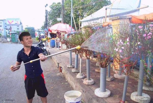 Cũng vì thế các cầu thủ đội tuyển Việt Nam trở thành đề tài để các dân mạng khai thác ở mục ảnh chế. Mới đây, những bức ảnh về Quang Hải, Công Phượng tranh thủ bán đào kiếm tiền tiêu Tết đã được đăng tải trên MXH.