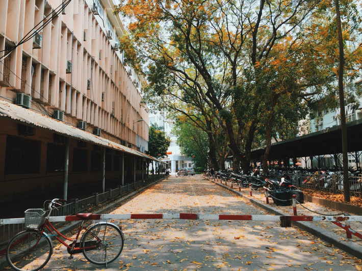 Không ít người xem xong bộ ảnh cảm thấy tiếc nuối, tiếc cho quãng thời gian sinh viên trôi qua nhanh quá mà chưa kịp chụp nhiều ảnh để giờ chẳng còn mấy kỉ niệm để mà bồi hồi.