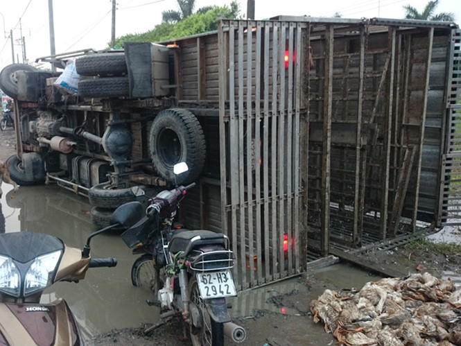 Trước đây, nhiều vụ hôi của từ những tai nạn lật xe đã xảy ra và nhận sự chỉ trích nặng nề từ CĐM.