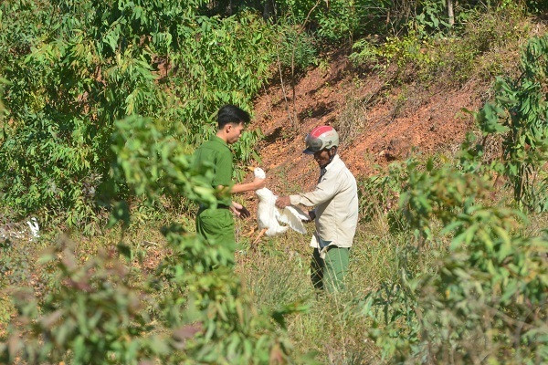 Nhiều dân mạng để lại bình luận rằng: "Những người hôi của là những người tàn ác và vô lương. Mong chính quyền xử phạt nghiêm và triển khai hoạt động giáo dục người dân để không một ai chà đạp lên người đang gặp phải xui rủi, khó khăn, mất mát để họ phải hứng chịu thêm nỗi khổ đau. Đau rồi chuyện lá lành đùm lá rách, lá rách đùm lá nát? Thấy người ta gặp nạn, hùa nhau ăn cướp của người ta".