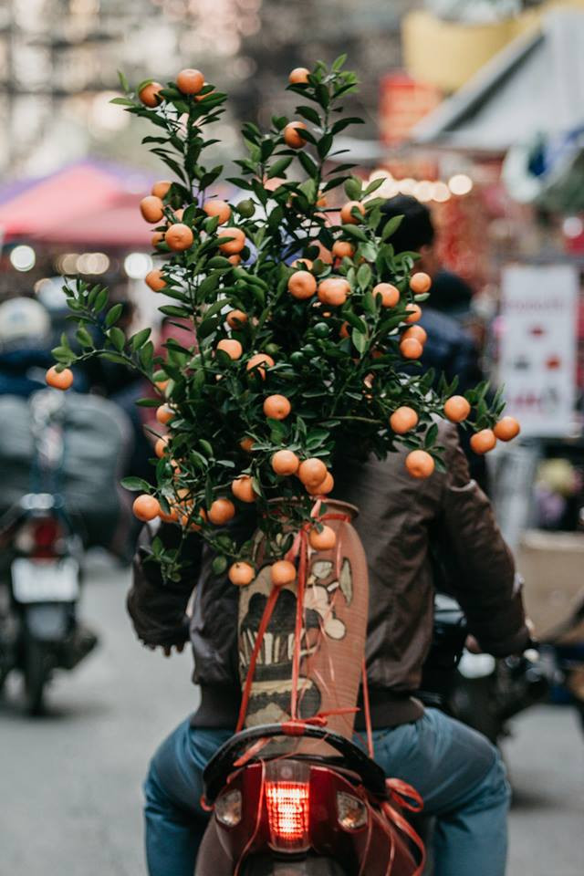 Theo thời gian, không chỉ mỗi hoa, chợ phiên Hàng Lược "du nhập" thêm nhiều mặt hàng, quy mô cũng được mở rộng. Chính sự khác biệt này khiến phiên chợ có phần ồn ào và xô bồ hơn trước.