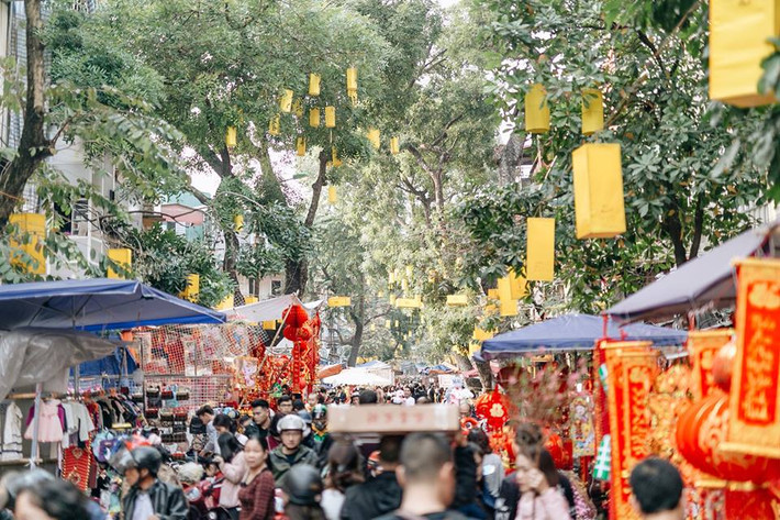 Người Hà Nội vốn có những thú vui rất riêng đó là đi chợ hoa Tết. Dù có rất nhiều hu chợ hoa nổi lên mỗi khi giáp Tết nhưng phiên chợ cuối năm tại phố Hàng Lược vẫn được yêu thích nhất.