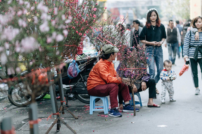 Chợ Hàng Lược nằm trọn chiều dài của phố Hàng Lược và một phần các phố Hàng Chai, Hàng Rươi, Hàng Mã, Hàng Đồng. Mỗi năm, chợ chỉ họp đúng một phiên duy nhất, từ 20 tháng Chạp đến tận chiều tối 30 Tết.