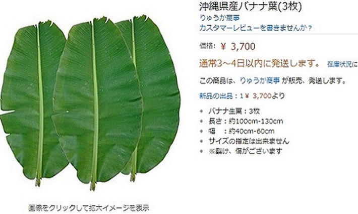 Lá chuối tươi được bán gần 500 nghìn/lá trên Amazon Nhật. Nếu mua ba lá thì có giá gần 760 nghìn còn mua năm lá sẽ có giá gần 1,2 triệu.