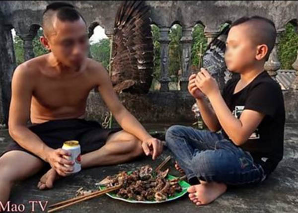 Mặc dù các nhân vật của clip Ẩm thực Tam Mao không lên tiếng cho biết con chim mình làm thịt thuộc loài nào nhưng nhiều cư dân mạng lại khẳng định đó chính là Diều hoa Miến Điện, 1 loài chim quý hiếm có tên trong sách đỏ Việt Nam, bị cấm săn bắt, khai thác thương mại và giết thịt.