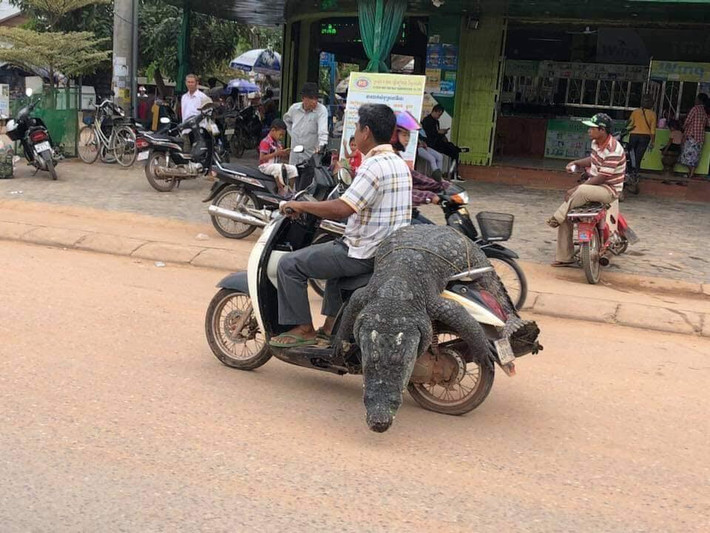 Vừa qua trên MXH, các dân mạng đã siêu tầm được bộ ảnh người dân chở những món đồ siêu dị hay chở cồng kềnh tham gia giao thông. Sau khi được đăng tải, những bức ảnh ghi lại hình ảnh siêu dị đã được CĐM thích thú để lại bình luận.