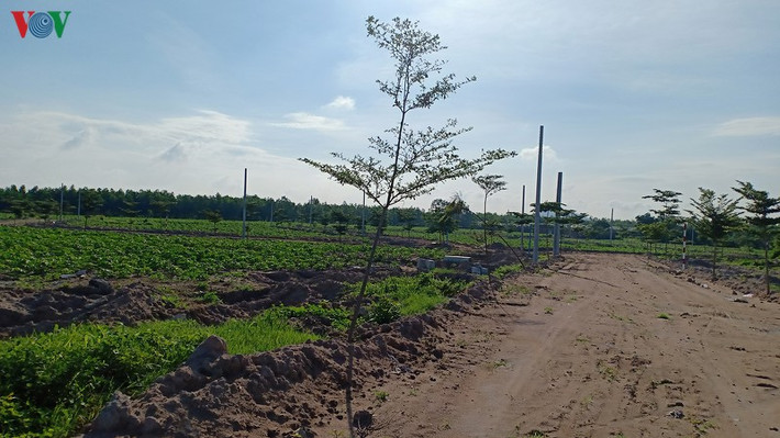 Khu đất này trước đây đã từng bị chính quyền xã Châu Pha cưỡng chế, giờ là bãi đất trống.