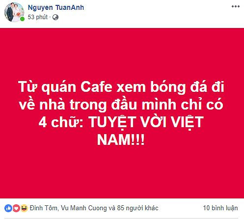Cảm xúc của một CĐV Việt Nam sau khi chứng kiến những gì thầy trò HLV Park Hang-seo thể hiện qua từng trận đấu với các đối thủ tầm cỡ châu Á tại Asian Cup 2019.