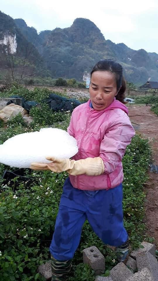 Dân mạng tỏ ra xót xa cho tình cảnh của những người dân chịu thiệt hại sau những cơn mưa đá vừa qua.