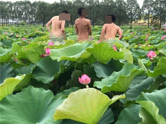 Bộ ảnh đã nhận về rất nhiều bình luận trái chiều. Đa phần bày tỏ cách tạo dáng như vậy rất phản cảm và việc "đú" theo trào lưu phản cảm này là không nên.