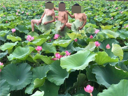 Hình ảnh ghi lại, trong ảnh là 4 anh chàng vạm vỡ, cởi trần "khoe dáng". Tuy nhiên, ở một vài bức ảnh, họ để lộ vòng 3 dù đã khéo léo che vùng nhạy cảm bằng lá sen.
