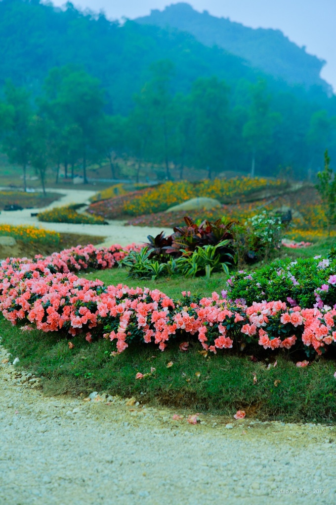 Ở lễ hội hoa Ninh Bình, các nghệ nhân dùng hoa để chuyển tải nhiều chủ đề như Phật giáo, không gian Tết Việt, không gian "Hiện tại và Tương lai".