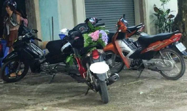 Đặc biệt là các phượt thủ, việc tranh thủ hái hoa với họ là khá thường xuyên. Dù là ven đường hay trong vườn, các dân phượt vẫn vô tư "cầm nhầm" như của mình.