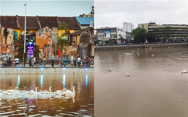 Chưa kể, những hình ảnh được đăng lên đều đã qua chỉnh sửa hậu kỳ, có hiệu ứng ánh đèn ban đêm khiến bờ sông Tam Bạc ảo diệu hơn ngoài đời rất nhiều.
