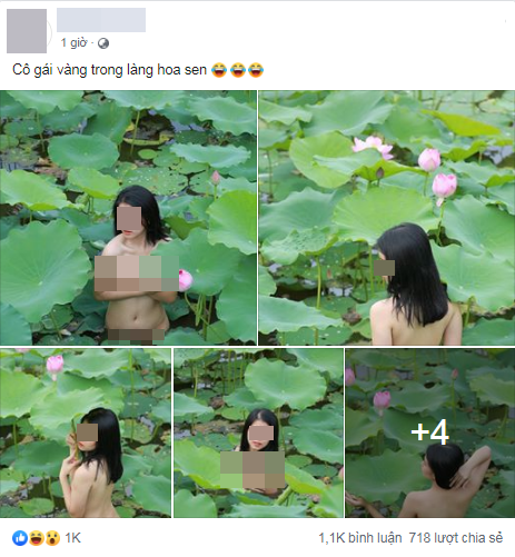 Ngày 9/6, trên MXH xuất hiện bộ ảnh của một cô gái trẻ khỏa thân tạo dáng dưới đầm sen gây tranh cãi lớn. Những tư thế tạo dáng chụp ảnh đầy thô tục của nữ chính bị đánh giá là làm xấu đi hình ảnh của loài hoa vốn nổi tiếng với vẻ đẹp thuần khiết.