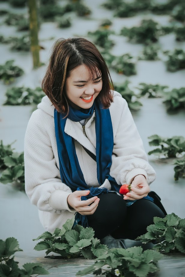 Những quả dâu chín xen kẽ những quả xanh và hoa là không gian cực đẹp khiến nhiều người tưởng nhầm đây là tấm ảnh được chụp tại Đà Lạt.