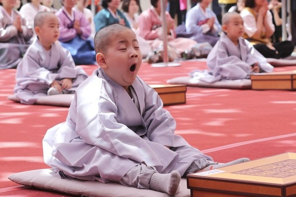 Chỉ vì ngồi thiền quá lâu nên cơn buồn ngủ vô tình ập tới.