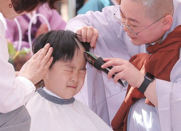 Vừa qua, loạt ảnh được chụp tại ngôi đền Jogye ở Jongno-gu, Seoul đã tiến hành xuống tóc cho những trẻ nhỏ tham gia khóa học Phật pháp và rất nhiều những biểu cảm của chú tiểu được ghi lại.