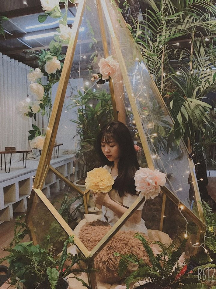 Nguyễn Ngọc Hải Yến (biệt danh: Yến Mèo ) là cô nàng 9X Hưng Yên xinh đẹp, cá tính và có nhiều tài lẻ thời gian qua được nhiều người chú ý tới.
