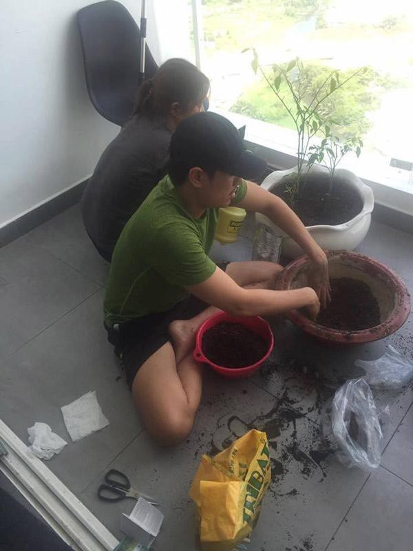 Kiều Minh Tuấn tận dụng ban công để trồng cây. Ảnh: FBNV