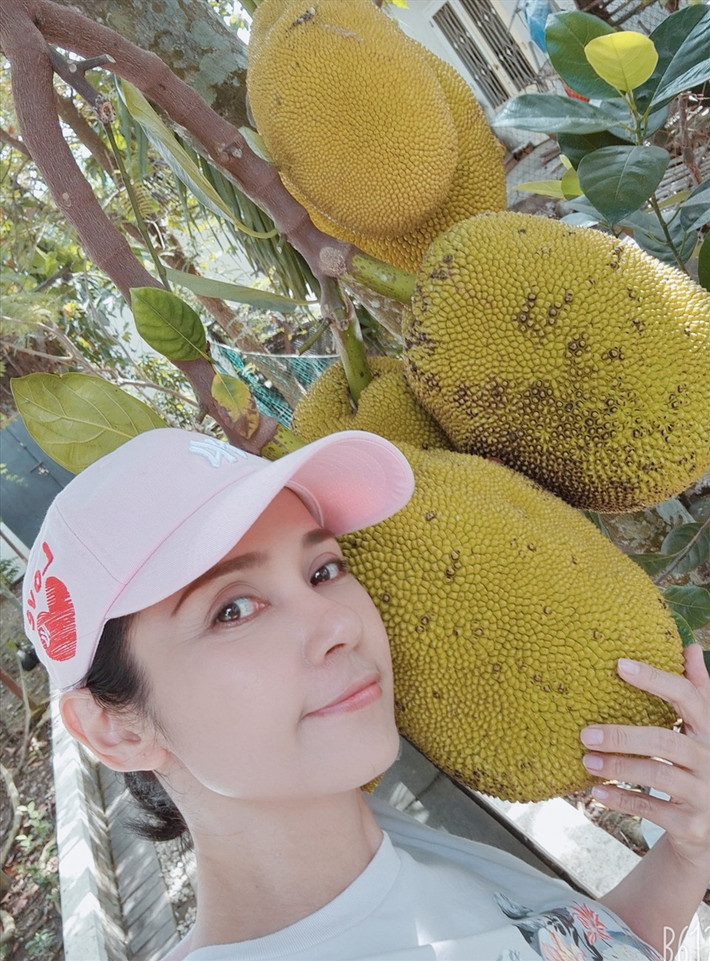 Trong khu vườn rộng lớn, Việt Trinh trồng đủ các loại cây ăn trái.