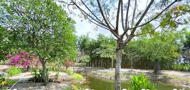 Tại nông trại, Minh Hằng trồng nhiều cây ăn trái, nuôi gà và thả cá.