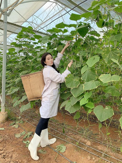 Mỗi khi rảnh rỗi, Lý Nhã Kỳ đều tranh thủ sắp xếp thời gian lên Đà Lạt để chăm chút cho nông trại.