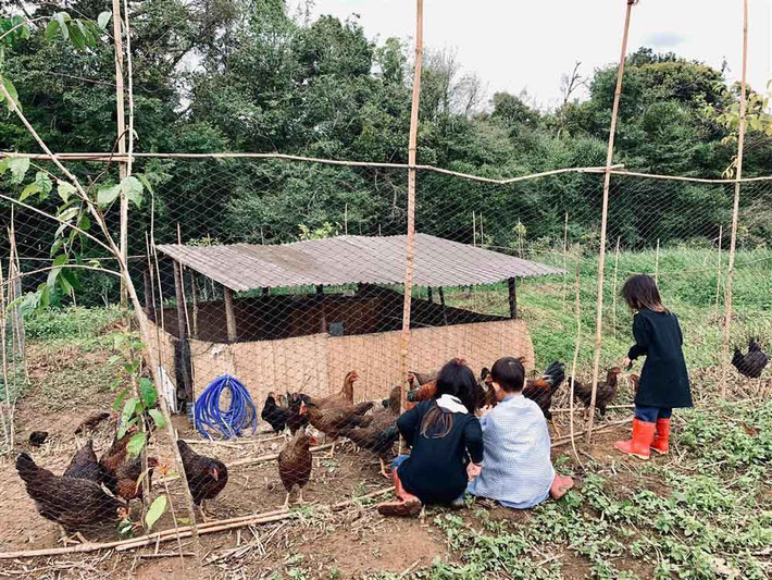 Ở nông trại, các con Lý Hải - Minh Hà được cùng bố mẹ trồng rau, nuôi gà, lội ruộng...những việc ít khi có cơ hội trải nghiệm ở thành phố.