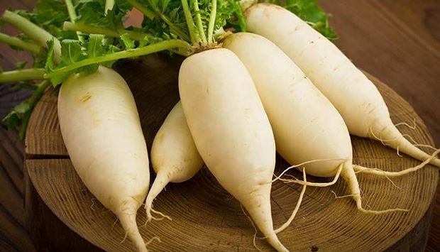Củ cải Việt Nam có tua rễ dài, cuống lá còn xanh tươi. Ảnh: Baophapluatvietnam.