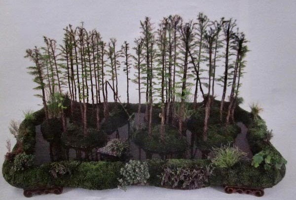 Bonsai dáng rừng là một kiểu tạo thế được nhiều người ưa thích. Trong đó, một chậu cảnh trồng rất nhiều cây. Ảnh: Agrimark.