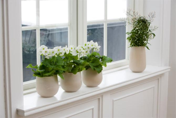 Khung cửa sổ sẽ đẹp hơn nhiều nếu có những chậu hoa trang trí ngay bậu cửa. Ảnh: Thegioishowroom.