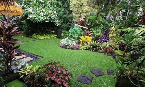Điều này khiến cho khu vườn chỉ đẹp ở một góc nhìn duy nhất và trông khá tệ hại ở các vị trí khác. Ảnh: Greenmore.