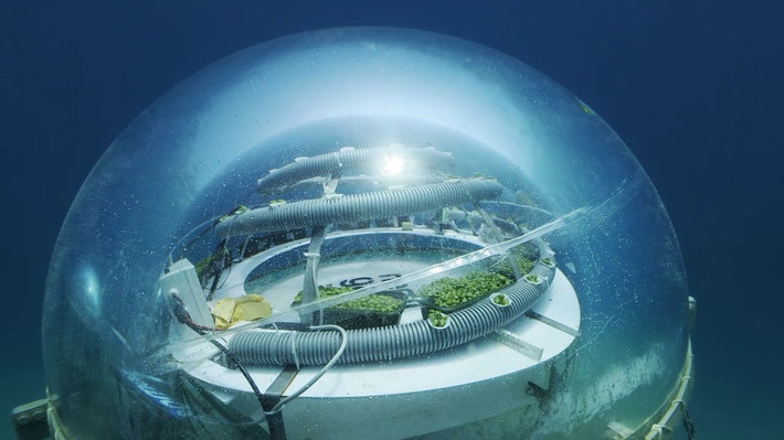 Nemo's Garden gồm 5 quả cầu sinh quyển và chính giữa một cột sắt gọi là "cây sinh tồn". Ảnh: YouTube.