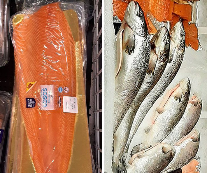 Cá hay hải sản đông lạnh để quá lâu không còn ngon và không tốt cho sức khỏe. Cá giảm giá trong siêu thị có thể bị đông lạnh quá lâu, phần thịt không còn chắc.