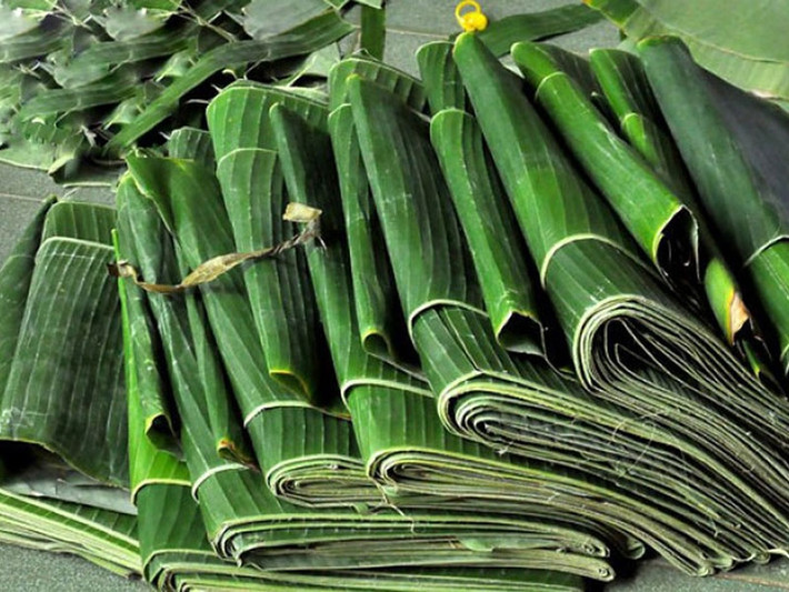 Đặc biệt, giá bán có thể lên đến 15.000 đồng/kg nếu chất lượng tốt, hình thức lá xanh, đẹp. Ảnh: Dân Việt