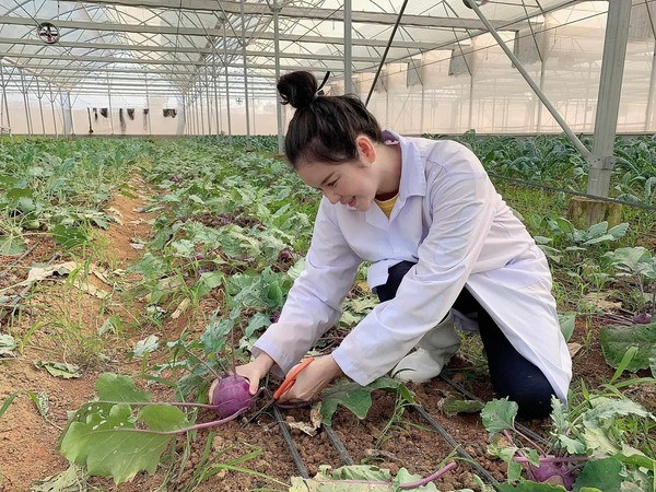 Hiện, nông trại của Lý Nhã Kỳ chủ yếu cung cấp cho gia đình, bạn bè.