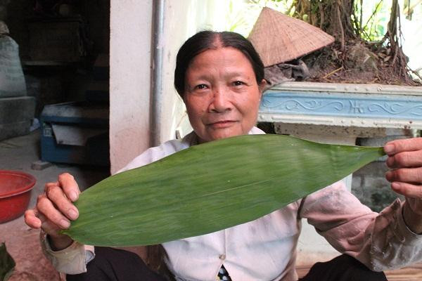 Lá tre vốn bị xem là loại bỏ đi, ít giá trị. Tuy nhiên, ở một vùng của Hà Nội, lá tre lại là “lộc trời”, trở thành mặt hàng xuất khẩu và đem lại thu nhập không nhỏ cho người dân. Ảnh: Dân Việt.