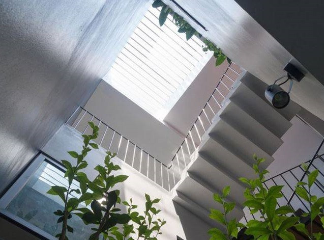 Nhiều gia đình không tiếc đầu tư số tiền lớn để thiết kế giếng trời với hệ thống tưới cây tự động, thác đổ, trồng cây...tạo cảnh quan lạ mắt.