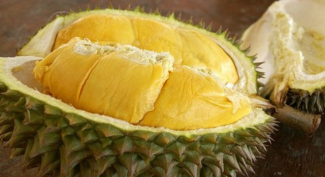 Muốn chọn sầu riêng ngon, an toàn, người tiêu dùng cần để ý kỹ phần cuống và phần gai. Phần cuống tươi xanh, cứng sẽ là loại vừa rụng, còn phần cuống cũ úa màu, héo rất có thể đã được ngâm thuốc để thúc trái chín. Ảnh: Internet