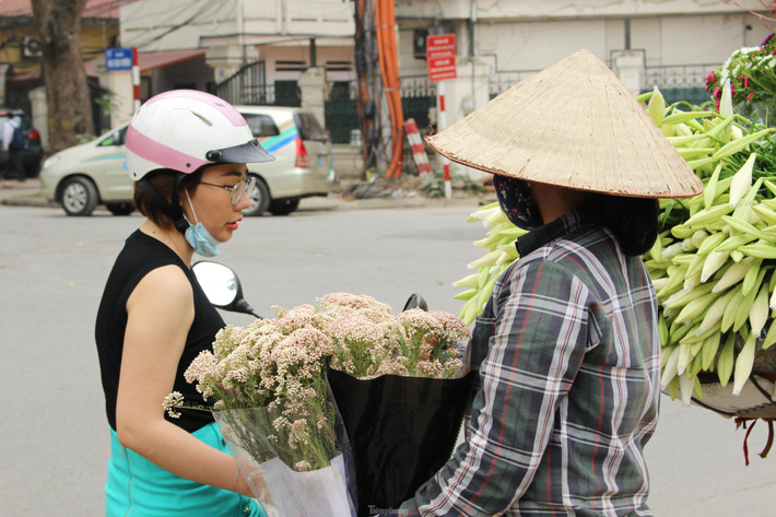Hoa có hai loại là màu trắng và màu hồng nhạt. Ảnh: Tiền phong.