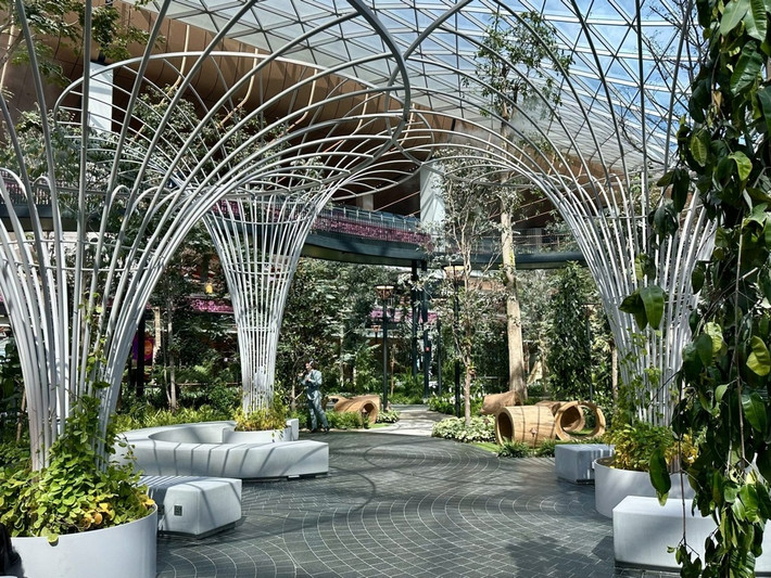 Tại trung tâm của khu vực mới mở rộng, Qatar cho xây dựng một khu vườn nhiệt đới trong nhà với hơn 25.000 loài thực vật trên khắp thế giới. Ảnh: Doha News