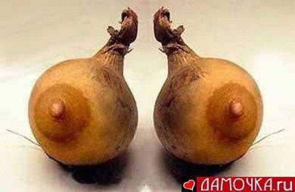 Nhìn qua tưởng vòng một của phụ nữ. Ảnh: Amoyka